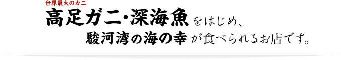 世界最大のカニ 高足ガニ・深海魚をはじめ、駿河湾の海の幸が食べられるお店です